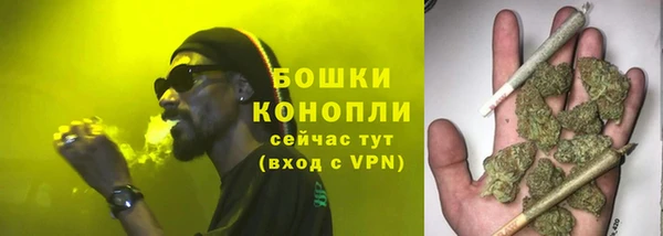 дурь Алзамай