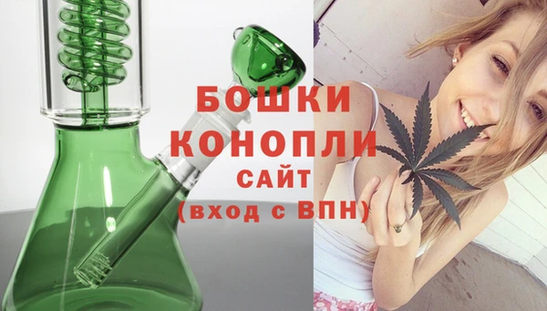 ПСИЛОЦИБИНОВЫЕ ГРИБЫ Сатка