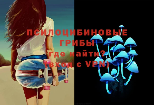 синтетический гашиш Алексин