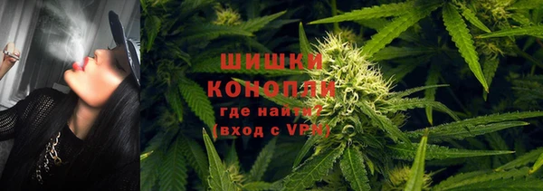 дурь Алзамай