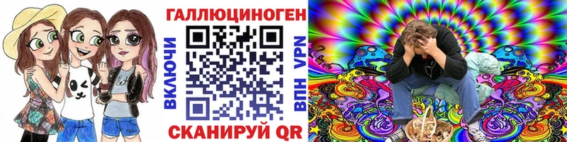 Псилоцибиновые грибы Psilocybe Дзержинский