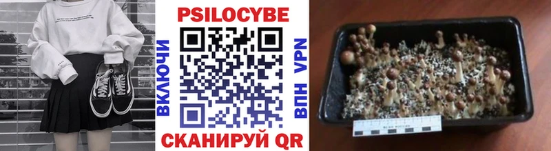 Псилоцибиновые грибы Psilocybine cubensis  Дзержинский 
