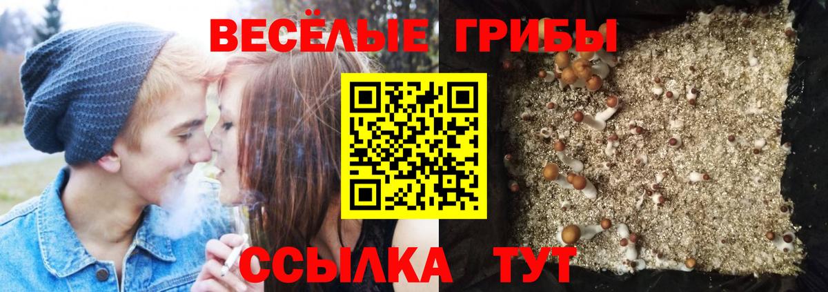 Галлюциногенные грибы прущие грибы  Вход с VPN  Дзержинский  Галлюциногенные грибы Cubensis 